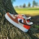Donne Nike Air Force 1 Low LXX Toasty Pecan